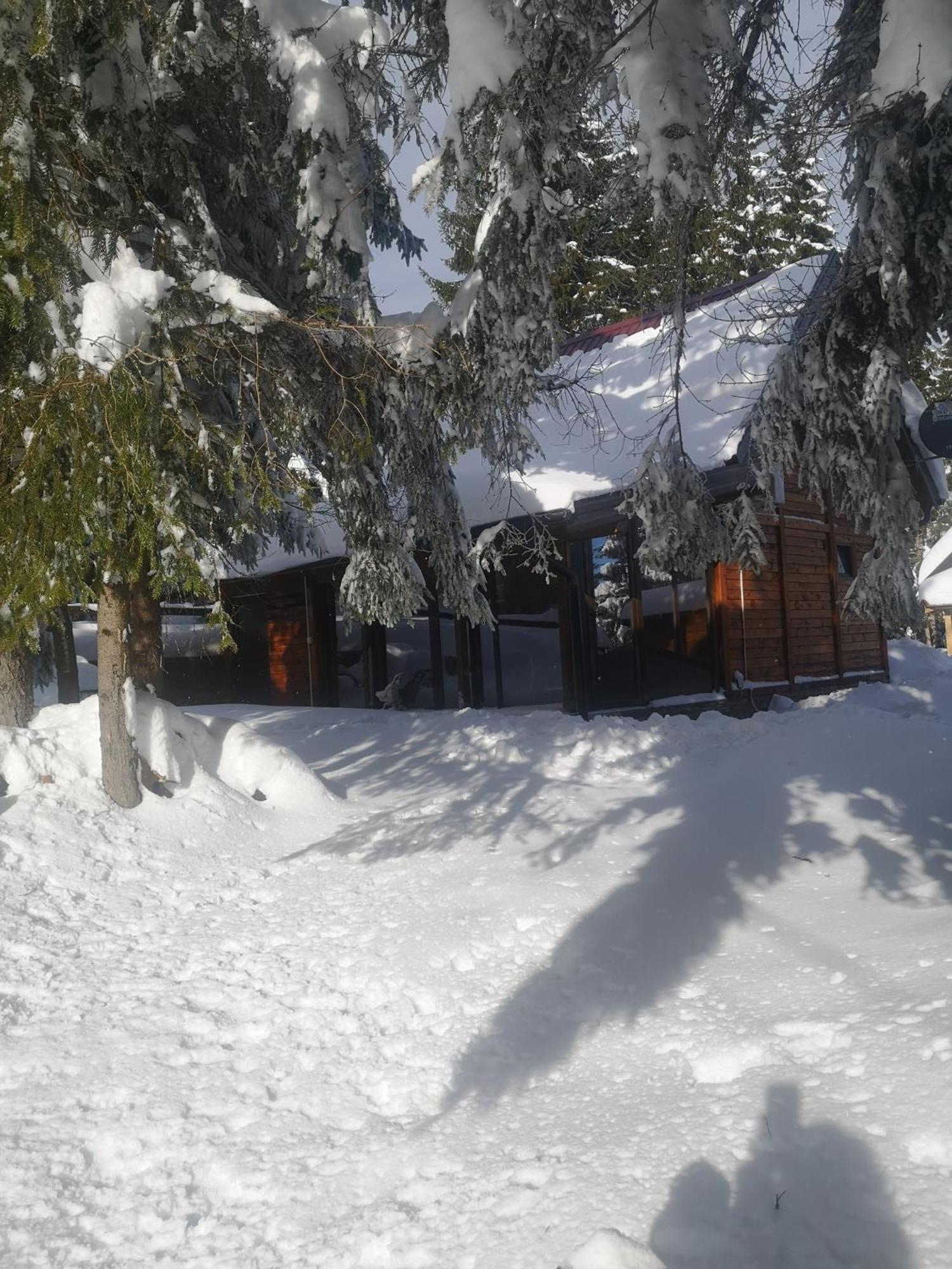 Brvnare Krstigora Villa Zaovine Rom bilde